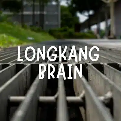 Longkang Brain logo